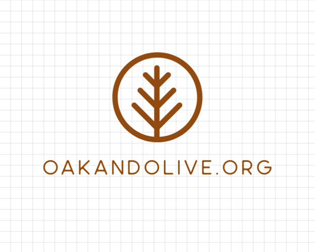 Oak and Olive – A Single Mom's Journey